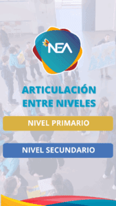articulacion