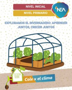 novedades 20232024 (3)